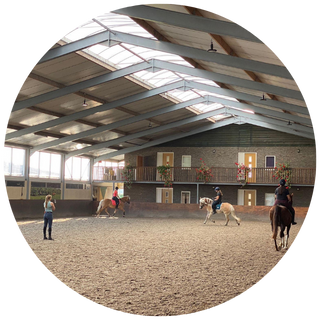 Dressuurles Friesland Drenthe