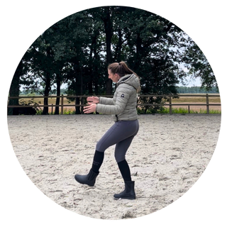 Dressuurles Friesland Drenthe