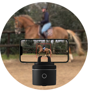 dressuurles op afstand