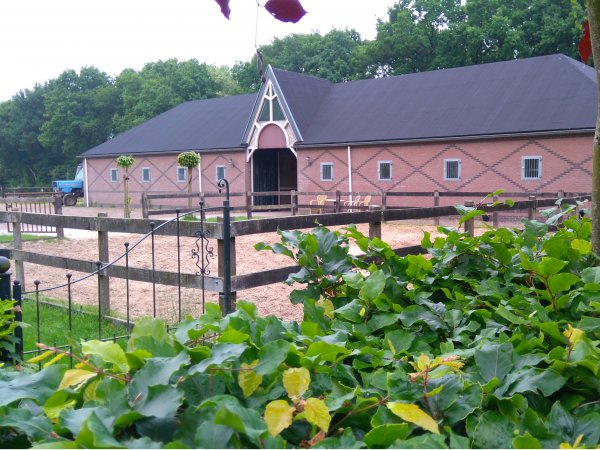 Voor_de_paarden_thumb 2